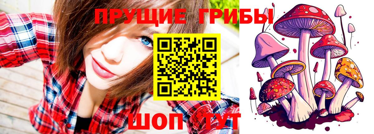 Псилоцибиновые грибы Cubensis  Вход с VPN  Темрюк 