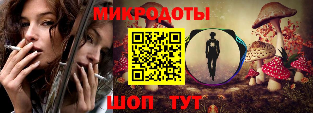 Псилоцибиновые грибы Psilocybe Темрюк
